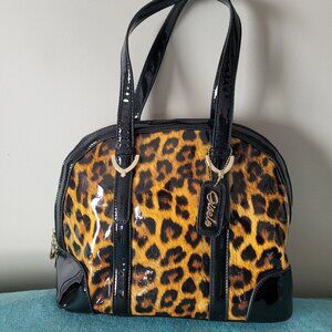 Gisele Purse